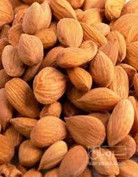 مغز هسته زرد الو + خرید عمده
